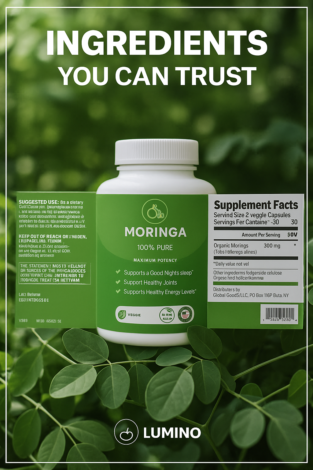 Lumino Moringa